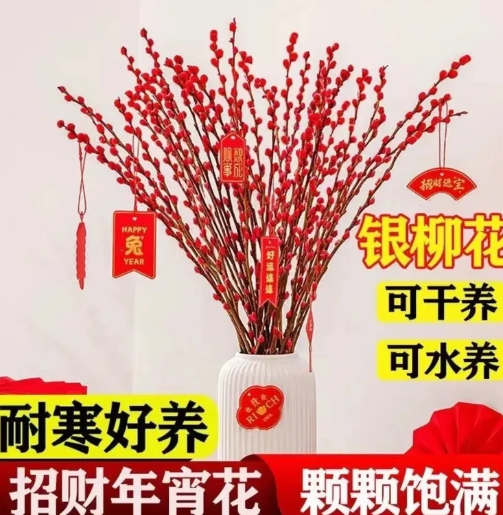 红色招财银柳45cm-1.5米高鲜切真花水培干养植物耐寒客厅装饰花