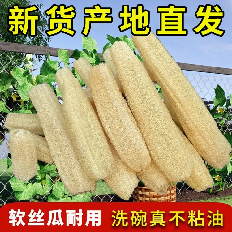 天然丝瓜络洗碗抹布水瓜锅刷去污不沾油百洁布洗碗洗澡干丝瓜瓤