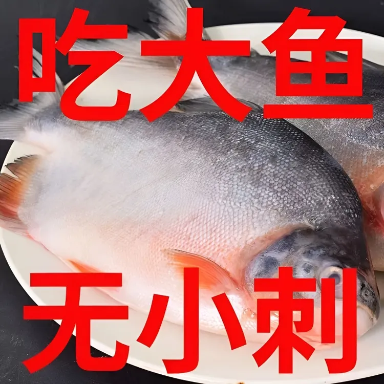 正宗特大大红鲳鱼大号新鲜鲜活速冻冰鲜整条肉厚刺少营养鲜美商品图