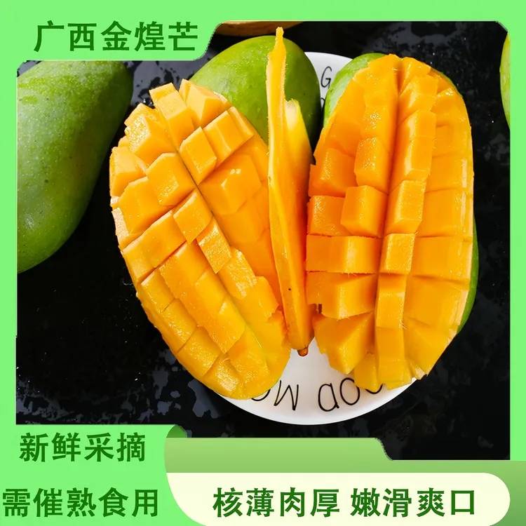 【柑路】【东三可发】广西金煌芒5斤装单果200g/350g/500g