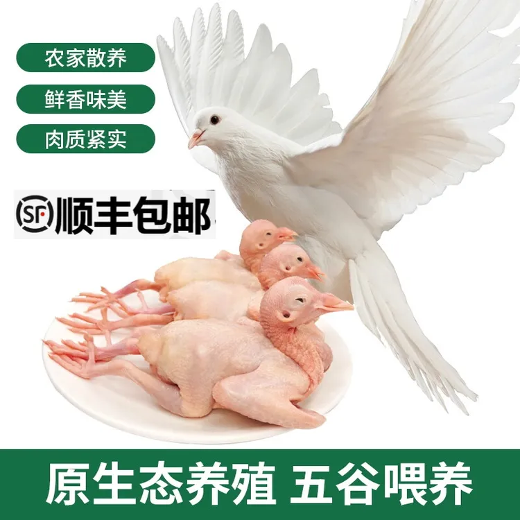 【超值土鸽3只家庭装】农家新鲜现宰现发杂粮喂养乳鸽散养老鸽子肉