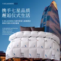 S-XILAIDENG酒店总统套房同款被芯细腻保暖纤丝羽丝绒被高档冬被