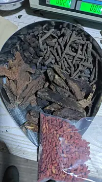 <快乐翻倍>杜仲泡酒