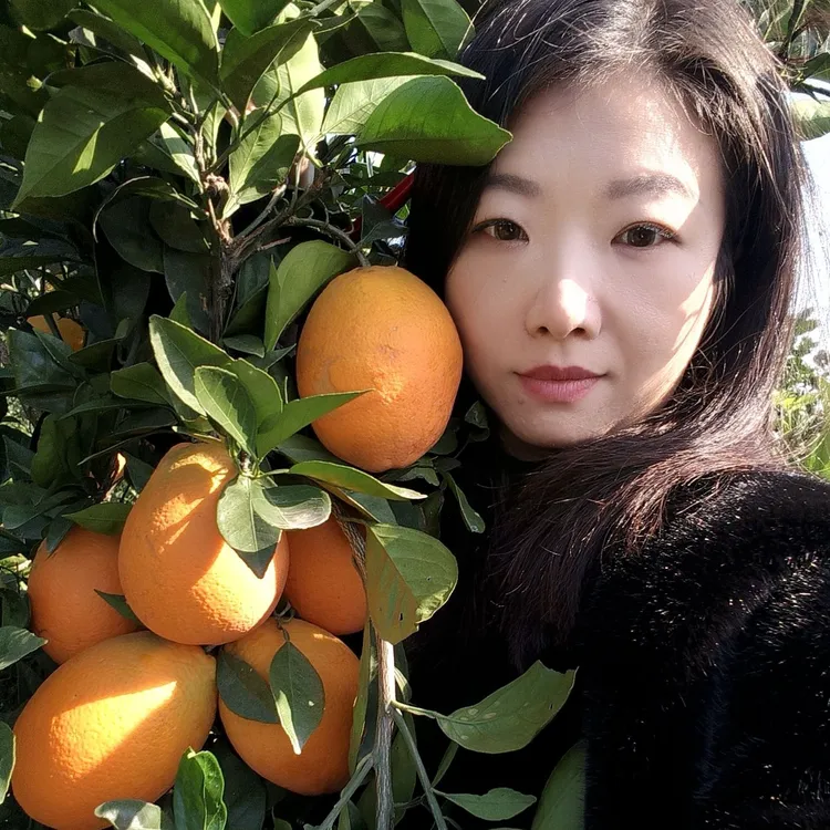 宜昌纽荷尔脐橙现摘新鲜水果产地直发，一箱约10斤包邮（除偏远地区