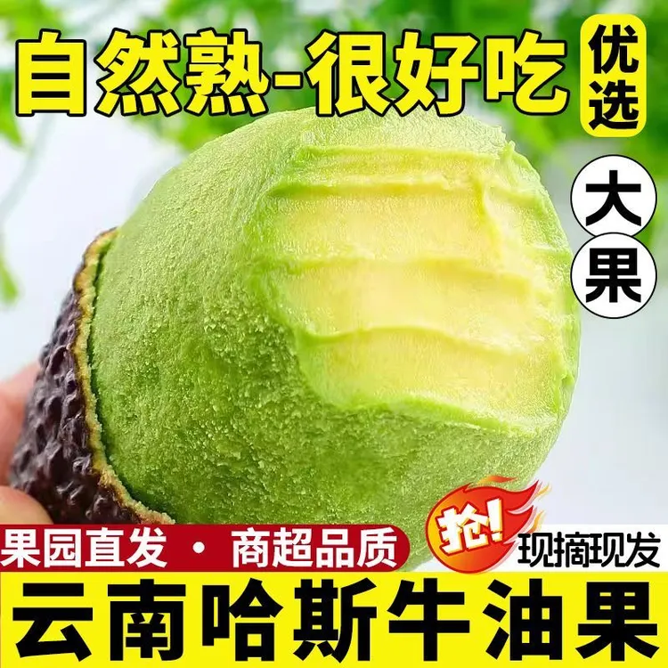 云南哈斯牛油果新鲜应季水果宝宝辅食孕妈轻食鳄梨丝滑醇厚需催熟