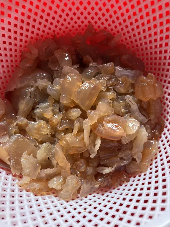 辽宁营口纯野生海蜇小肉