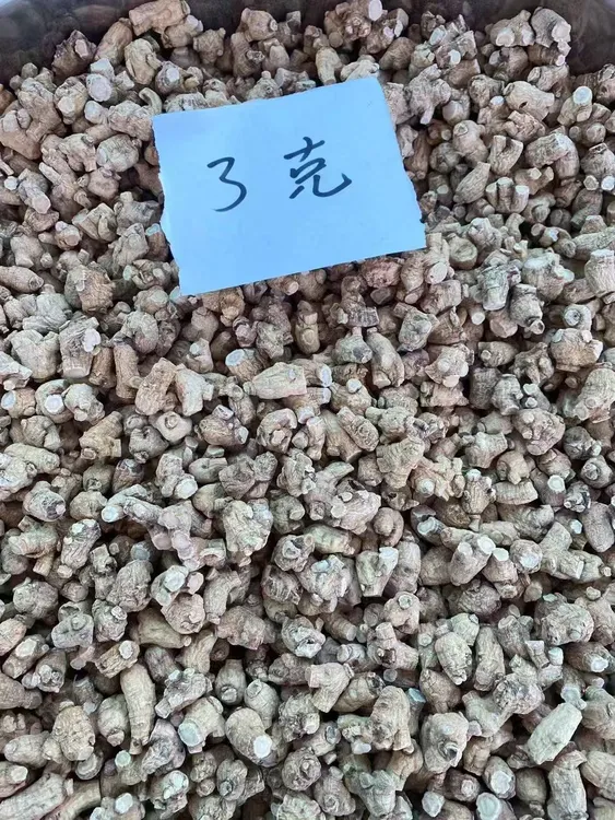 （粉丝福利）3克洋参粒泡水冲水都可以