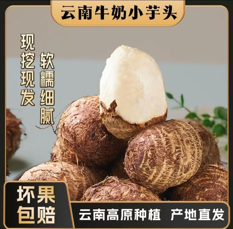 云南高原牛奶小芋头 手挑精品芋仔 新鲜现挖 高山种植 口感独特 