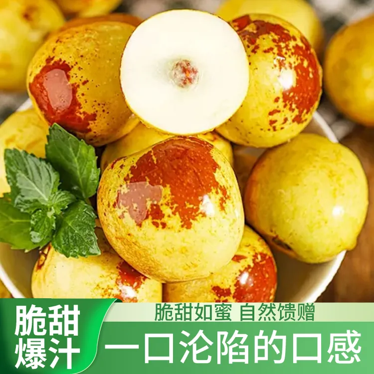 正宗陕西大荔冰糖冬枣现摘现发新鲜脆甜应季水果