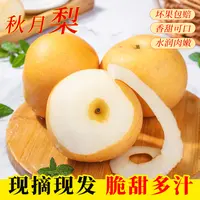 山东莱西正宗秋月梨4.5斤新鲜采摘鲜甜多汁