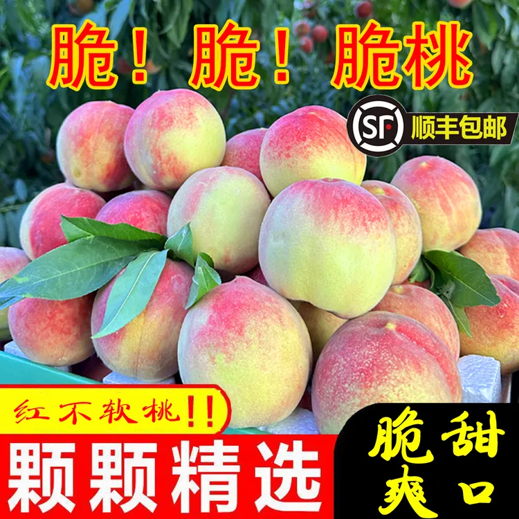 一山一市【顺丰上门】脆桃脆甜桃子新鲜水果现摘现发时令批发生鲜