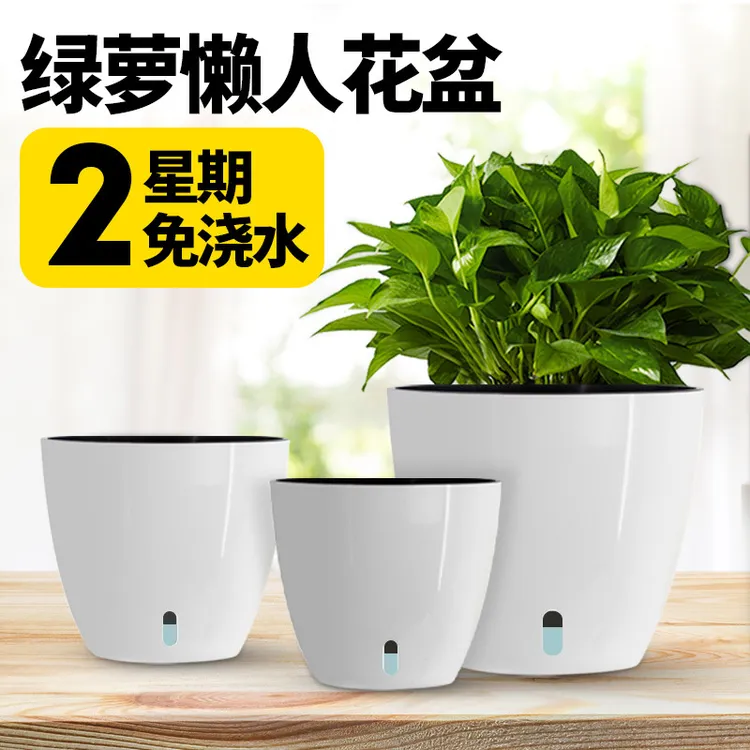 塑料花盆加厚耐用家用白色水培器皿绿萝盆栽兰花盆专用懒人自吸水