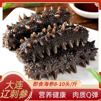 大连海参即食辽刺参非干货非泡发无保水剂开袋即食8-10头/斤
