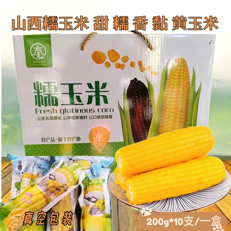 山西糯玉米新鲜头茬甜糯玉米熟玉米棒子真空包装新鲜苞米岚县特产