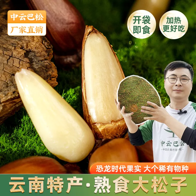 拇指大松子 巴拉那松子 熟食开口手剥高端坚果零食