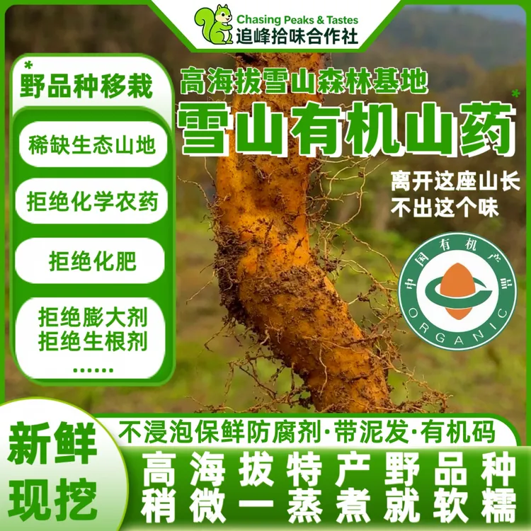 雪山有机糯山药5斤现挖新鲜高山森林生态山药非铁棍山药孩子辅食