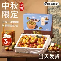 陕西大荔冬枣礼盒新鲜大枣应当季水果鲜枣子中秋送礼整箱顺丰包邮