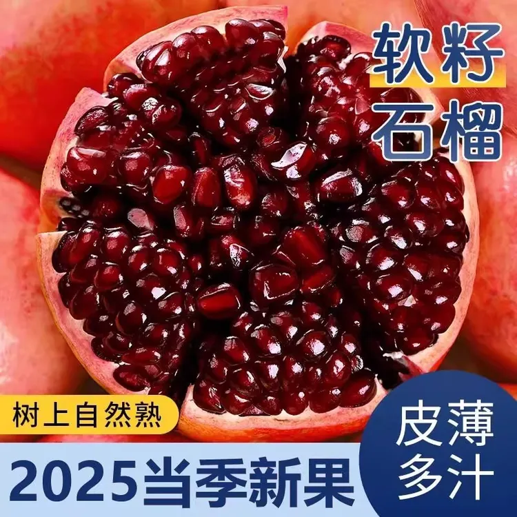 正宗四川会理突尼斯软籽石榴爆甜红皮产地包邮现摘树上熟当季水果