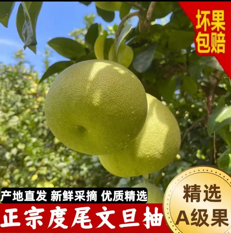 正宗度尾文旦柚子福建莆田仙游红心蜜柚孕妇新鲜水果青柚