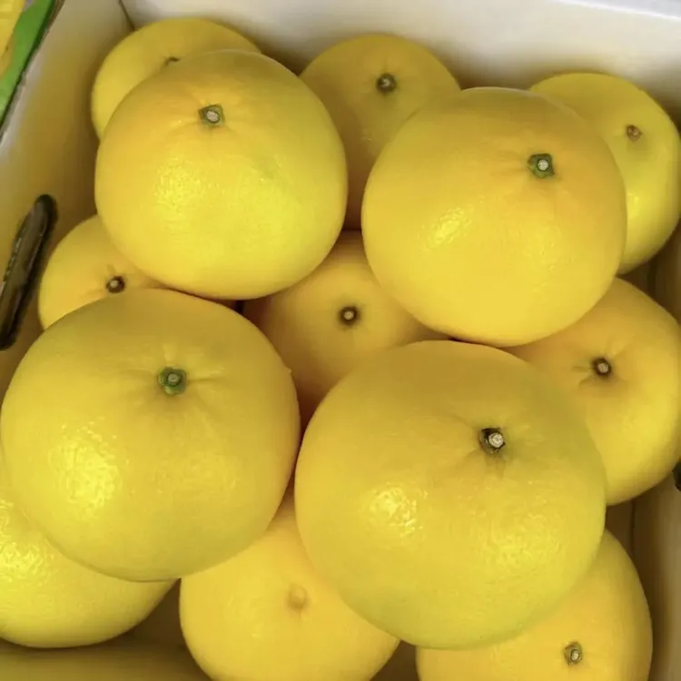 【发青皮果】翡翠爆汁葡萄柚冰糖柚绿宝石青柚新鲜水果皮薄肉厚超甜