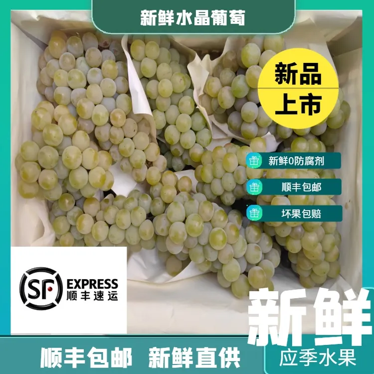 【顺丰包邮】湖南水晶葡萄新鲜现摘香葡萄当季水果三甲土葡萄