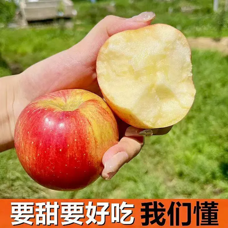 【25年头茬】新鲜采摘苹果脆甜鲁丽嘎啦果孕妇水果净重4.5斤2.5斤