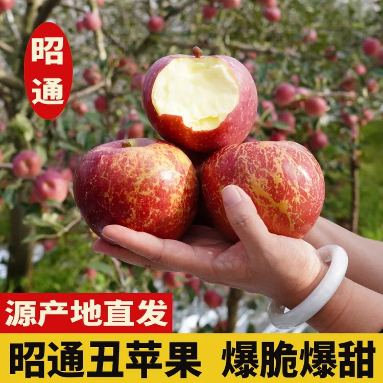 云南正宗应季红苹果昭通冰糖心丑苹果新鲜大凉山脆甜水果产地直发