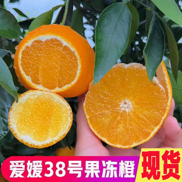 正宗爱媛38号果冻橙四川眉山丹棱果园现摘现发新鲜应季柑橘水果