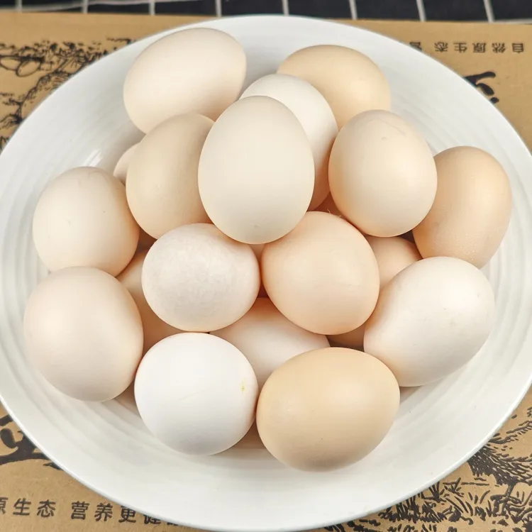农家散养土鸡蛋初生蛋40g-50g/枚 破损包赔