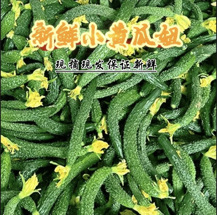 现摘新鲜头茬清甜酥脆小黄瓜妞拇指粗细脆爽腌制酱瓜下酒菜专用5