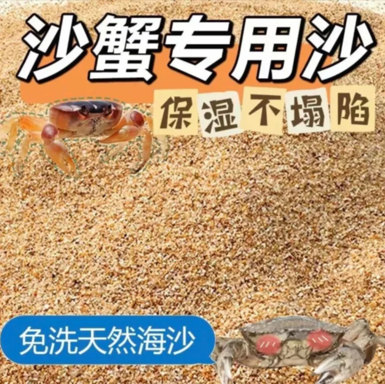 宠物沙蟹专用海沙保湿不塌陷