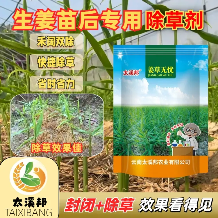 -姜草无忧 生姜专用除草剂