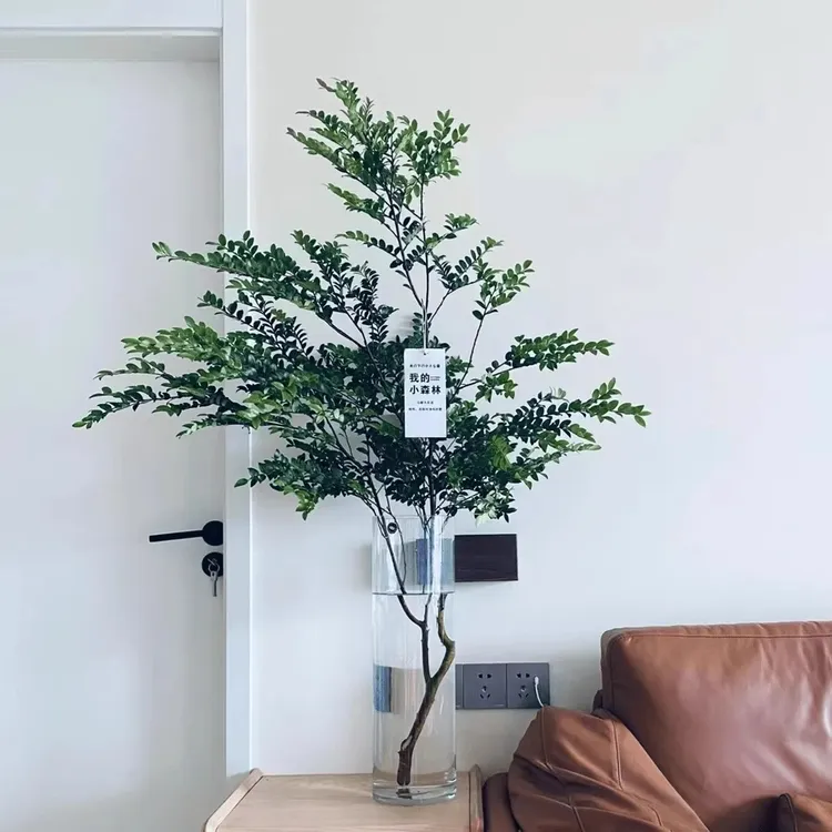 美男树室内水培平替吊钟马醉木鲜切枝绿植办公室内客厅装饰好养护