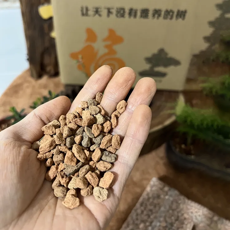 福壤土硬质酸性植料，无菌促生根促生长，生桩老桩扦插育苗都可用！