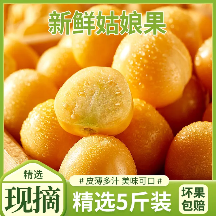 助农东北姑娘果应季水果甘甜多汁新鲜超甜产地直发好品质2500g