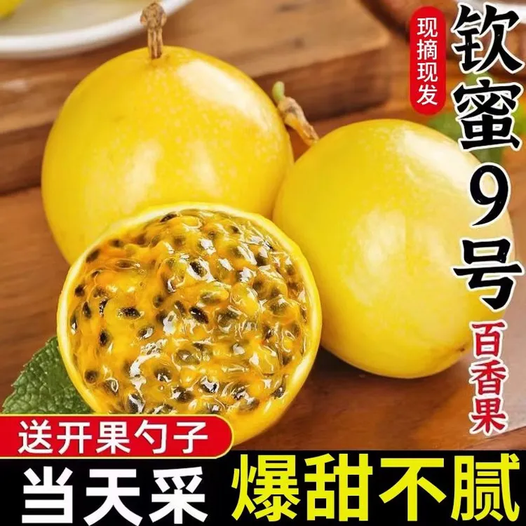 w【送开果器】正宗广西钦蜜九号黄金百香果新鲜当季水果香甜多汁