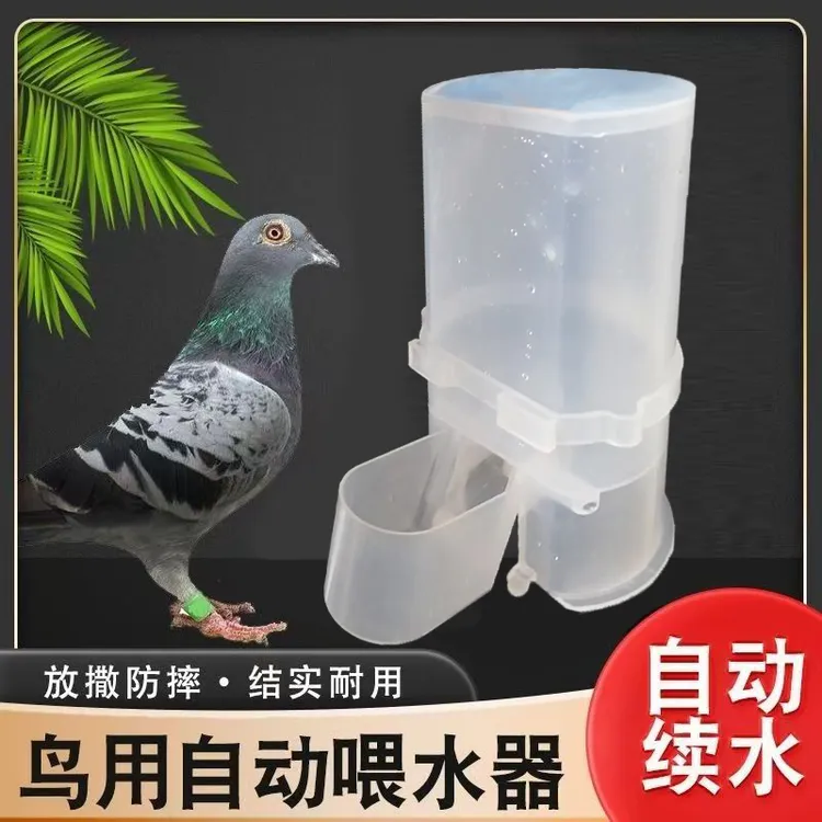 鸽子自动饮水器鹦鹉鸟用喂水杯小鸡饮水槽鸽子用品和用具