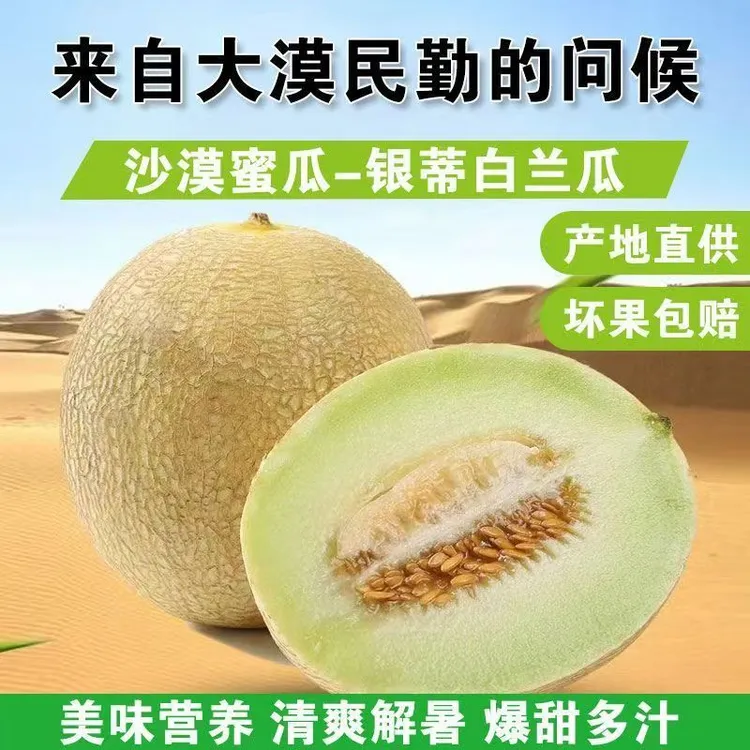 西贝同款｜自营｜京东到家|甘肃民勤｜沙漠白兰瓜｜软糯香甜｜民勤蜜瓜