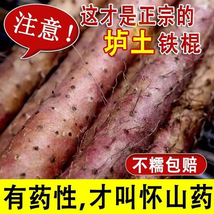 正宗河南焦作铁棍山药正品纯天然新鲜采挖温县高档山药铁锈农家菜