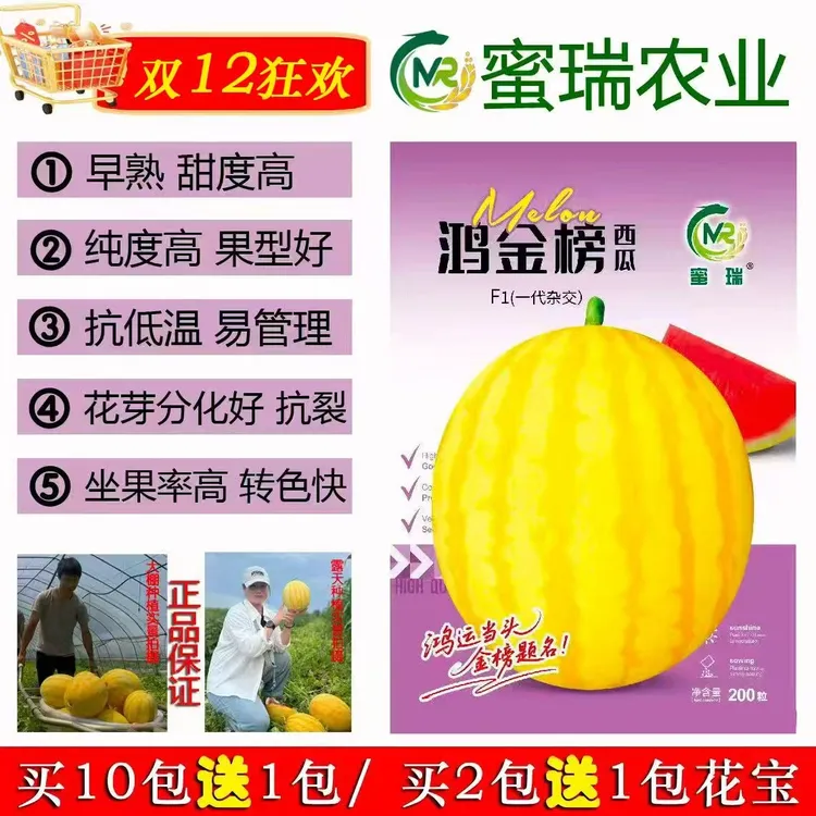 蜜瑞鸿金榜黄皮西瓜种子，黄皮红壤西瓜种子，鸿金榜西瓜种子200粒
