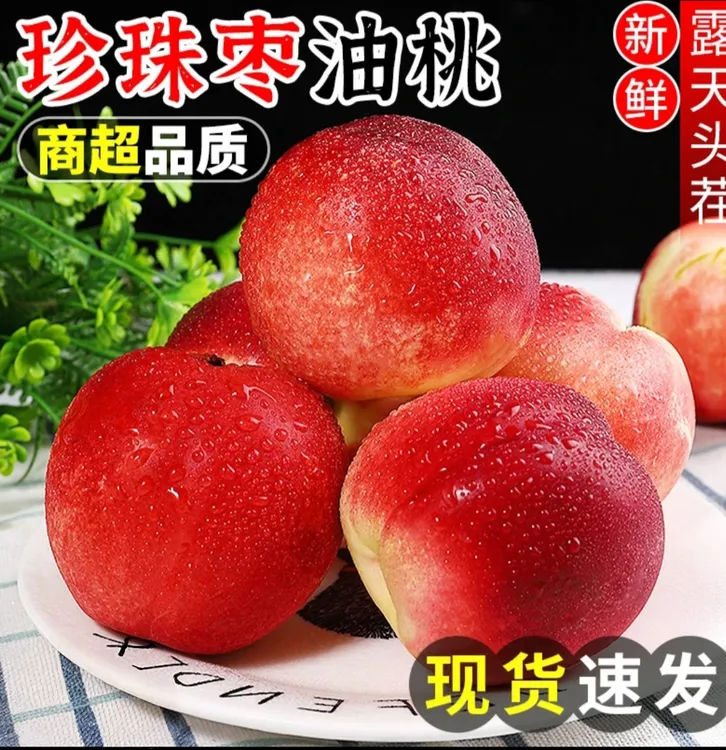 蒙阴新鲜采摘枣味油桃脆甜桃脆油桃枣味桃山枣