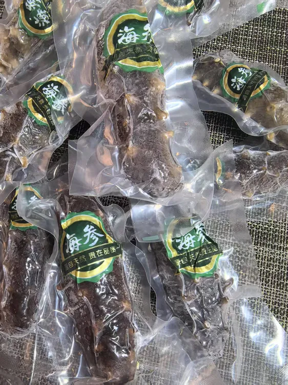 田横赶咀岛岩礁池即食海参7-10个一斤