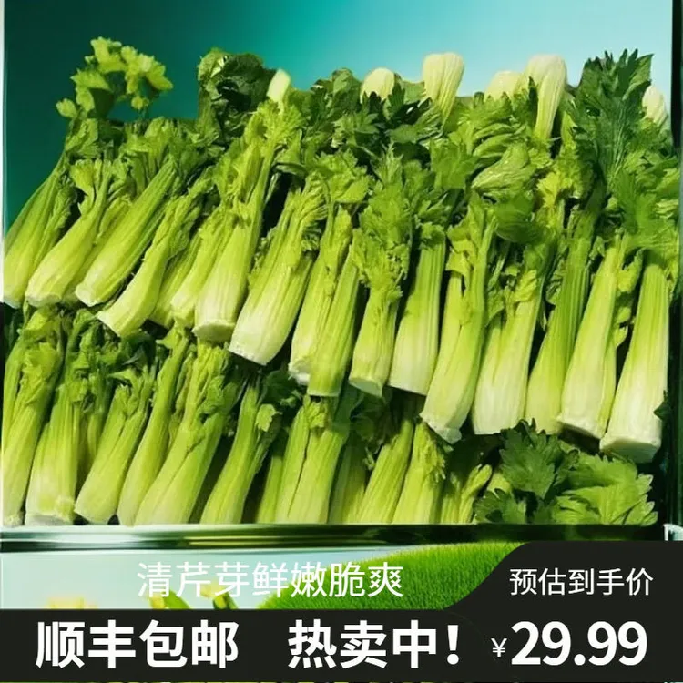 顺丰新鲜水果芹菜芽蔬菜云南高原西芹嫩芽高端特色食材500g清芹芽