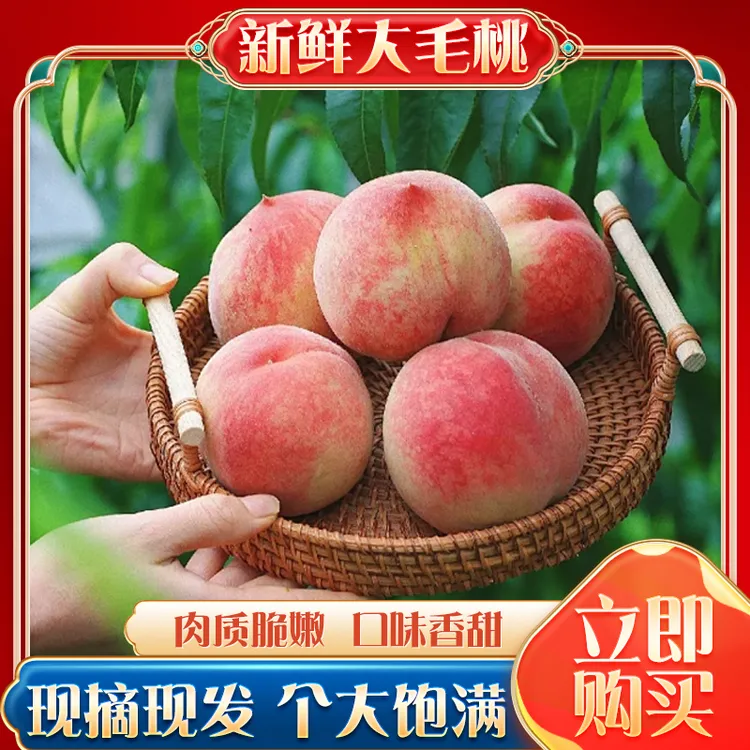 【毛桃】当季现采摘新鲜正宗毛桃 时令当季水果 大毛桃礼盒包装