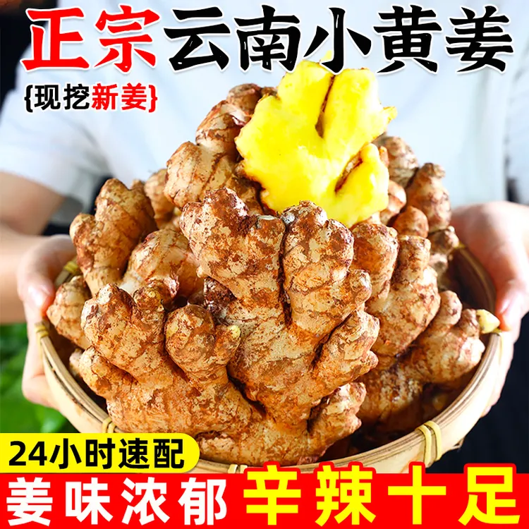 【产地直发】云南高山小黄姜老姜泡姜调味姜仔姜生姜辛辣十足
