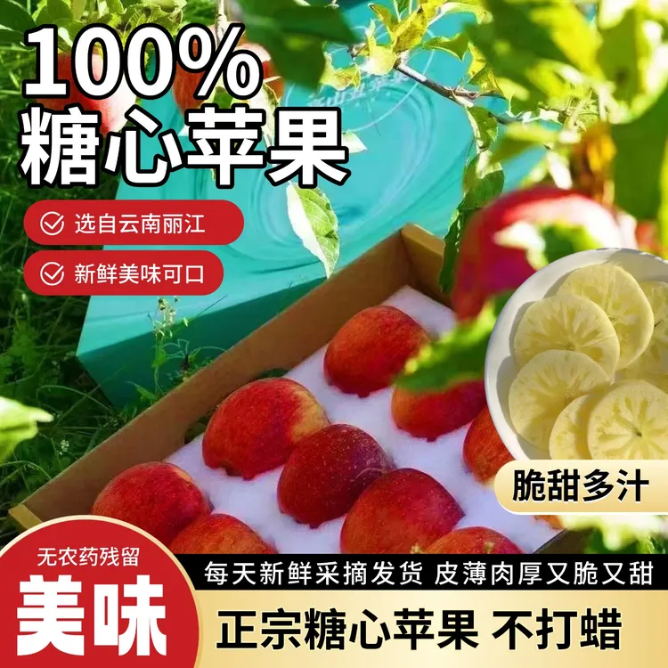 云南丽江宁蒗糖心苹果 现摘先发 脆甜多汁新鲜水果源头直发10斤装