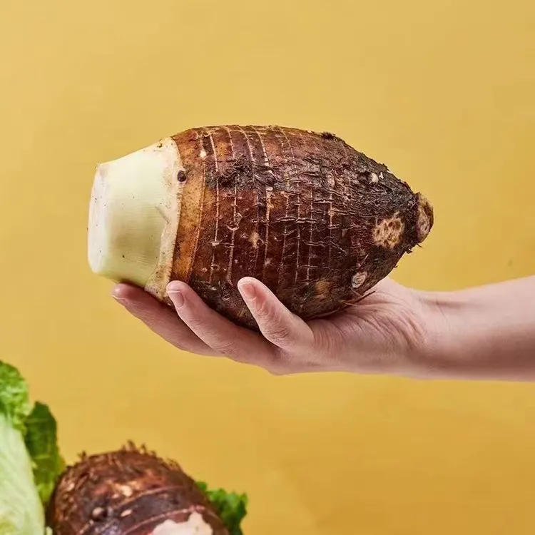 芋头新鲜荔浦正宗广西香芋香甜软糯槟榔芋粉糯桂林特产大芋头整箱