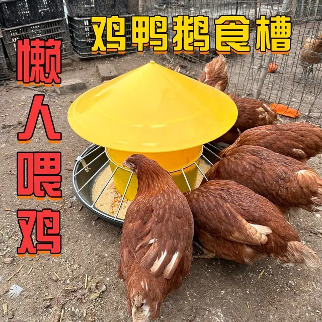 鸡鸭鹅料槽食槽自动喂料采食器喂鸡神器家禽喂料桶鸡槽食槽圆形