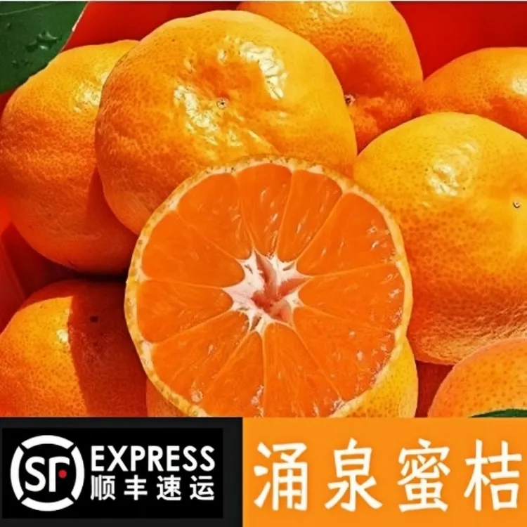 [顺丰包邮]浙江台州临海涌泉蜜桔应季新鲜甜黄皮高山沙地无籽薄皮