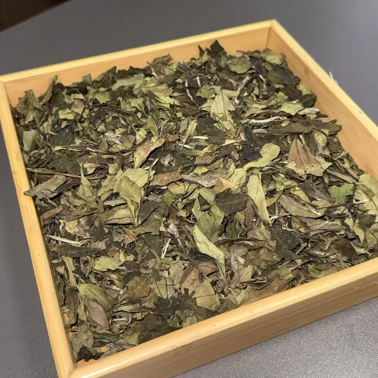 2022福鼎核心产区佳阳抛荒茶菜贡眉花香果甜枞香